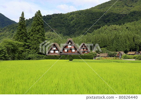 Shirakawago summer 80826440