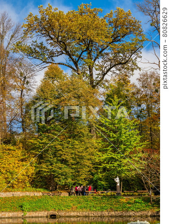 Sofiyivsky arboretum on a sunny autumn day. Uman, Ukraine 80826629
