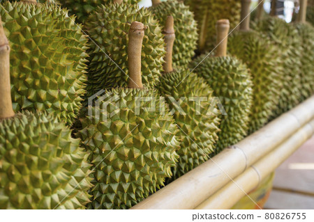 Bunch of durian fruits lying on a market stall  80826755