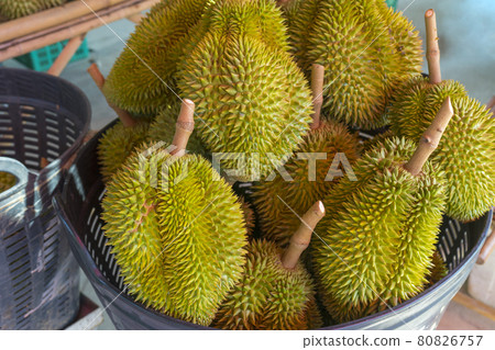 Bunch of durian fruits lying on a market stall  80826757