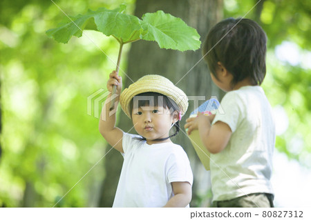 Children playing in the woods Children playing in the woods 80827312