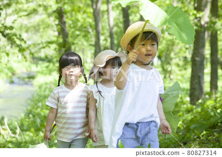 Children playing in the forest 80827314