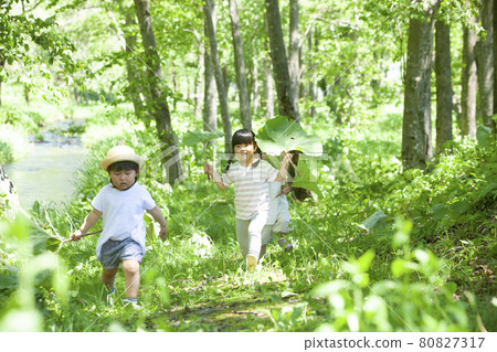 Children playing in the woods 80827317