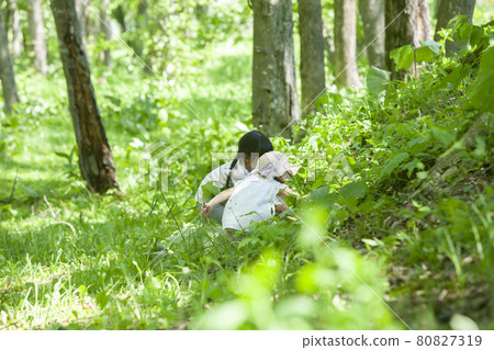 Children playing in the woods 80827319