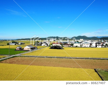 收穫期間的夏日天空和鄉村景觀（Kachō平原，21年8月） 80827407