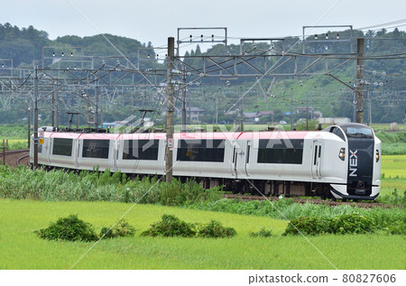 總武本線櫻Monoi JR東E259系列Ne017編隊(鎌倉)成田特快 總武本線櫻Monoi JR東E259系列Ne017編隊(鎌倉)成田特快 80827606