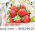 A lot of strawberries 80829630