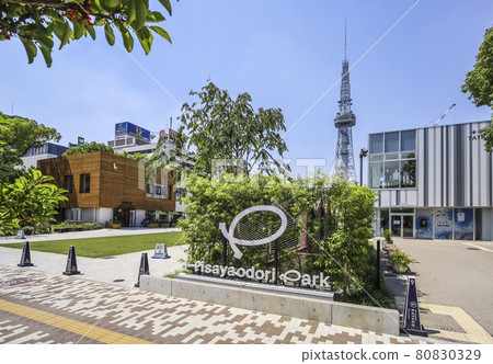 Hisaya Odori Park scenery to see the logo mark Hisaya Odori Park scenery to see the logo mark 80830329
