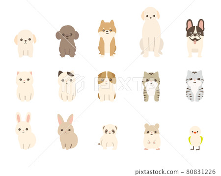 寵物動物矢量插圖集狗,貓,兔子,小動物 寵物動物矢量插圖集狗,貓,兔子,小動物 80831226