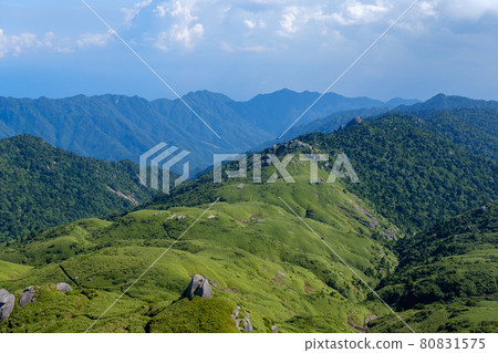 Ridge road from the summit of Mt. Miyanoura to Jomon cedar Ridge road from the summit of Mt. Miyanoura to Jomon cedar 80831575