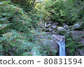 屋久島多莉路山間溪流 80831594