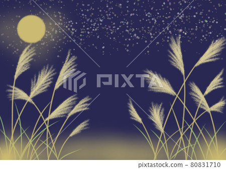 Illustration of Japanese pampas grass and moonlit night Illustration of Japanese pampas grass and moonlit night 80831710
