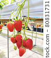 Fresh strawberries 80831731