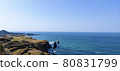 Sea	 80831799