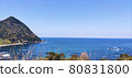 Sea	 80831800