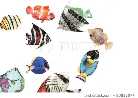 Tropical fish Tropical fish 80832074