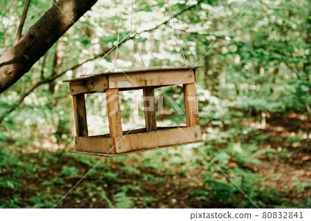 Wooden bird feeder in green summer forest or in the city park Wooden bird feeder in green summer forest or in the city park 80832841