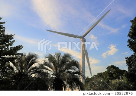 Windmill in Wakasu Park, Tokyo 80832976