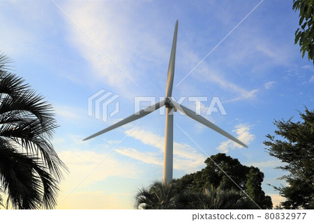 Windmill in Wakasu Park, Tokyo 80832977