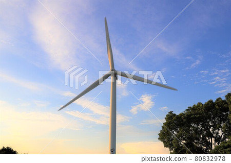 Windmill in Wakasu Park, Tokyo 80832978