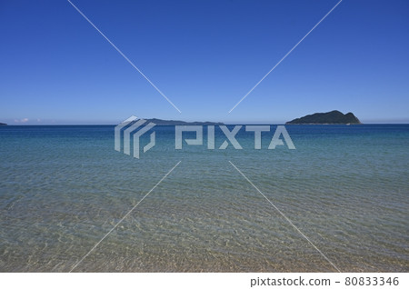 透明的大海 透明的大海 80833346