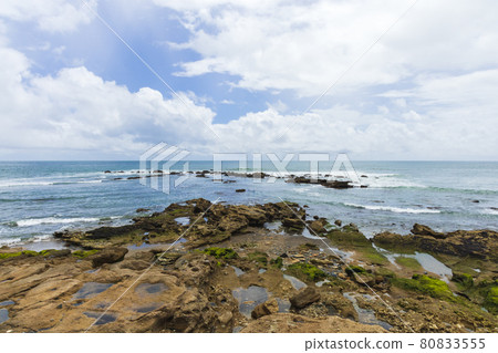 茨城縣日立市初崎海岸 茨城縣日立市初崎海岸 80833555