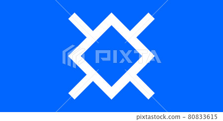 Northern Cheyenne flag in real proportions and colors, vector 80833615