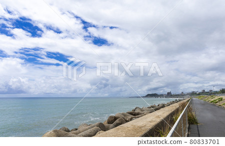 茨城縣日立市濱宮路公園 80833701