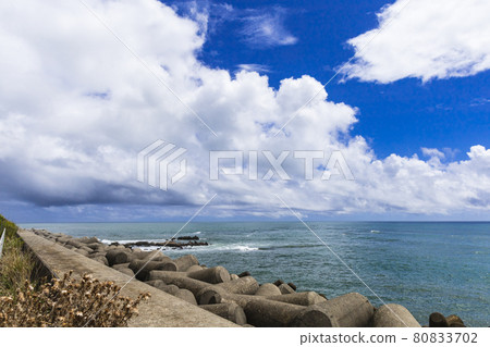 茨城縣日立市濱宮路公園 80833702