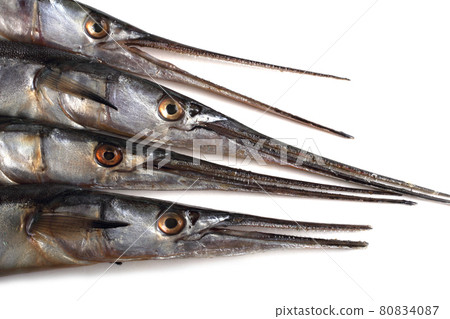 Garfishes isolated on white Garfishes isolated on white 80834087