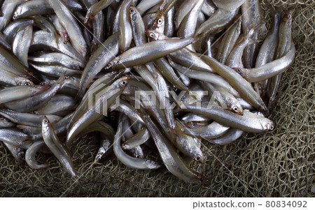 Fishing net with little fishes Fishing net with little fishes 80834092