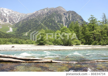 Shinshu Kamikochi, Azusa River surrounded by fresh spring greenery and Mt. Myojindake in the Northern Alps in the background Shinshu Kamikochi, Azusa River surrounded by fresh spring greenery and Mt. Myojindake in the Northern Alps in the background 80834734