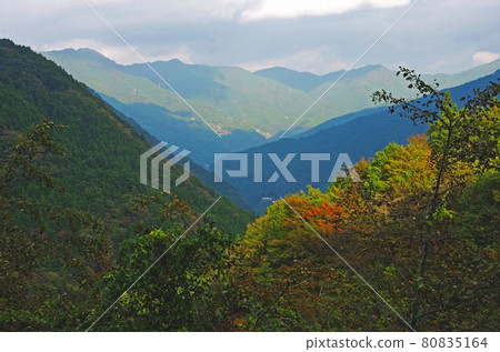 Autumn leaves in the mountains of Mt. Tsurugi Autumn leaves in the mountains of Mt. Tsurugi 80835164
