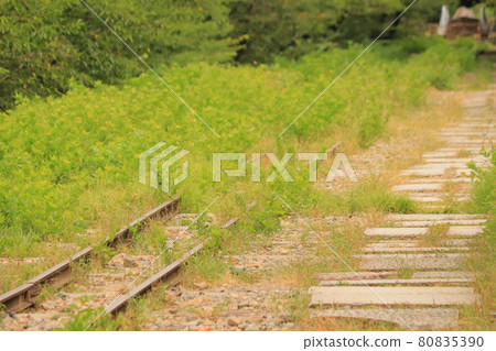 它是鐵路、廢棄鐵路和夏季斜坡的景觀。 它是鐵路、廢棄鐵路和夏季斜坡的景觀。 80835390