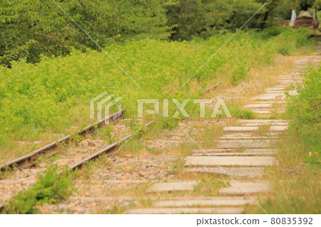 它是鐵路、廢棄鐵路和夏季斜坡的景觀。 80835392
