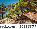 Mountains, rocks, large stones and trees in the 80836577
