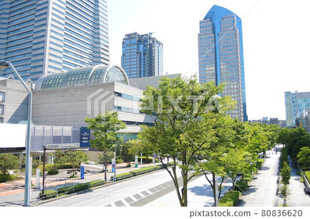 Yokohama Minatomirai Keyaki Dori 80836620