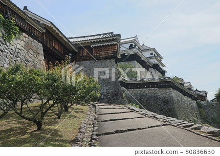 堅不可摧的城 伊予松山城 堅不可摧的城 伊予松山城 80836630