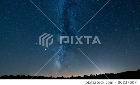 Milky way skyline over the tree tops 80837607