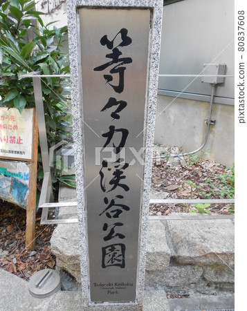 Todoroki Valley Part 5 80837608