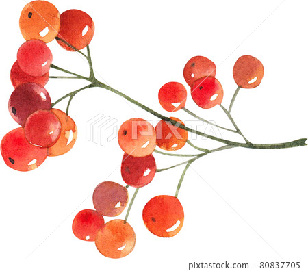 Autumn animals concept watercolor Autumn animals concept watercolor 80837705