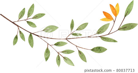 Autumn animals concept watercolor Autumn animals concept watercolor 80837713