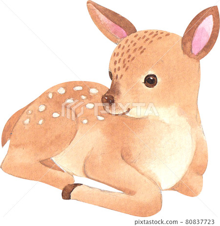 Autumn animals concept watercolor 80837723