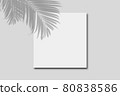 White paper board on great wall with palm leaves shadow. 80838586