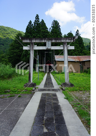 Ime Shrine (Yuzawa Town, Niigata Prefecture) where Schistostega grows naturally under the floor of the shrine 80838835