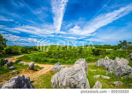 Akiyoshidai Karst plateau in fine weather Akiyoshidai Karst plateau in fine weather 80838880