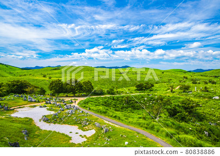 Akiyoshidai Karst plateau in fine weather 80838886