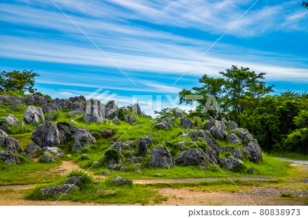 Akiyoshidai Karst plateau in fine weather 80838973
