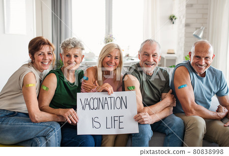 Group of senior friends showing plaster on arm indoors, covid-19 vaccination concept. Group of senior friends showing plaster on arm indoors, covid-19 vaccination concept. 80838998