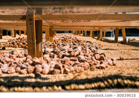 Kitano Tenmangu Shrine "Daifuku Ume Soil Drying" 80839018